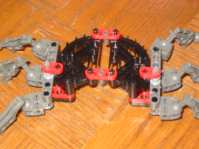 wasp18.jpg
