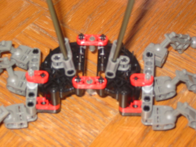wasp20.jpg