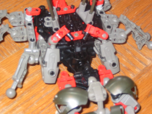 wasp22.jpg