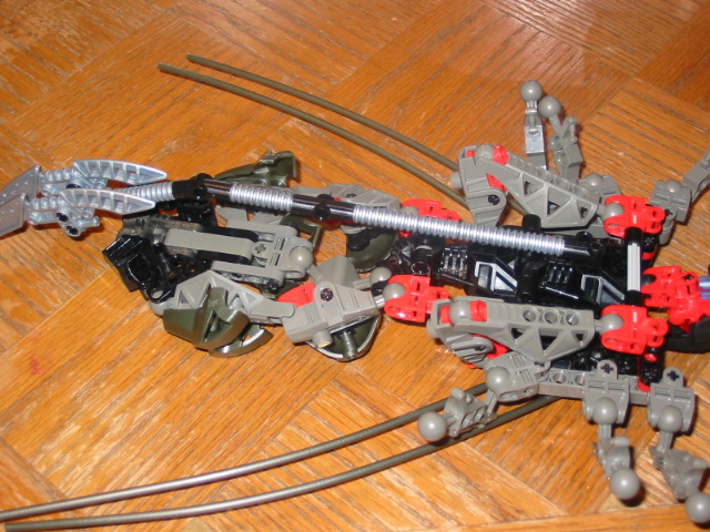 wasp23.jpg