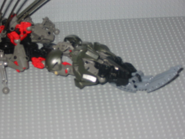 animal-02.jpg