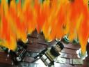 forest_on-fire.jpg
