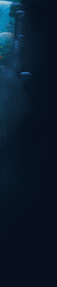 right.png