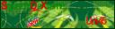 banner.png