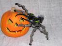 spider6.jpg