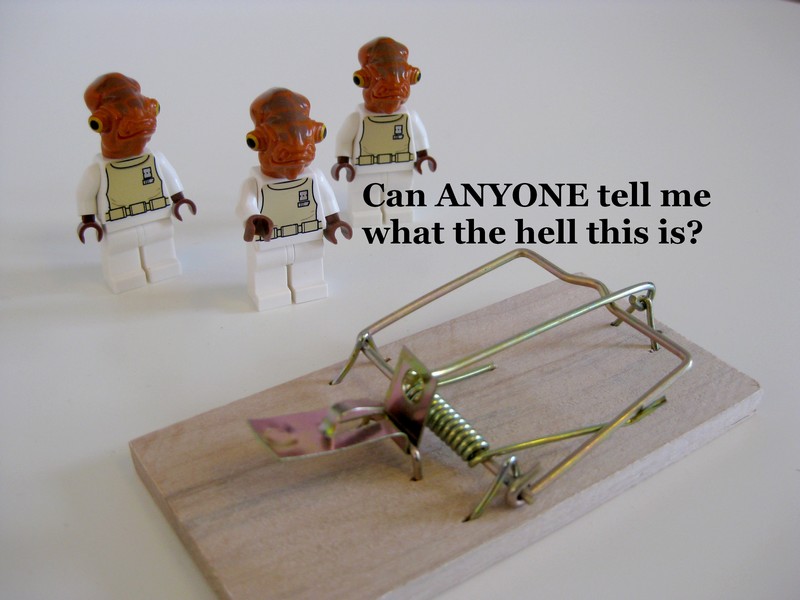 its_a_trap_800x600.jpg