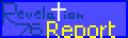 report.bmp