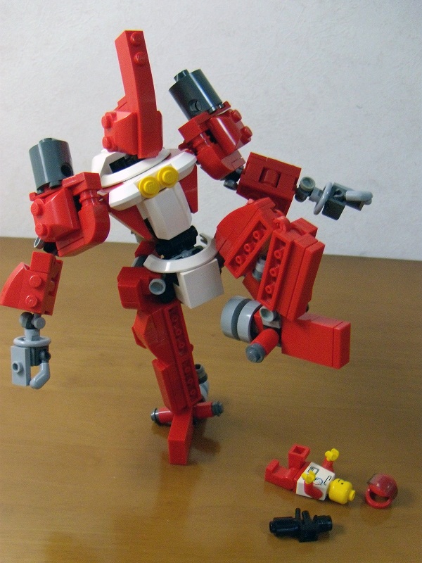 red_beetle_12.jpg