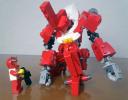 red_beetle_14.jpg
