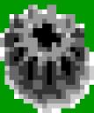 pip.gif