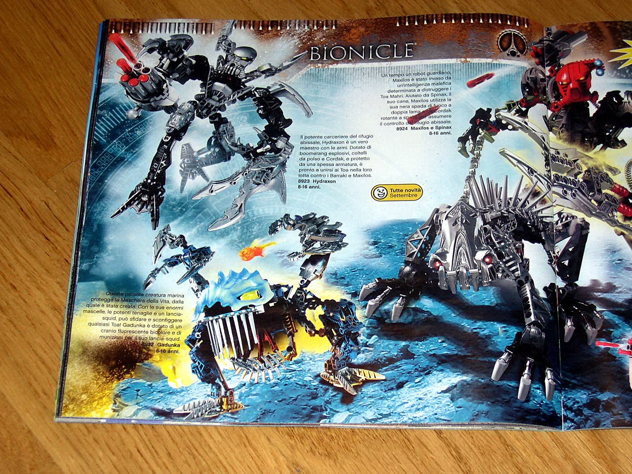 4515838-it-44.jpg