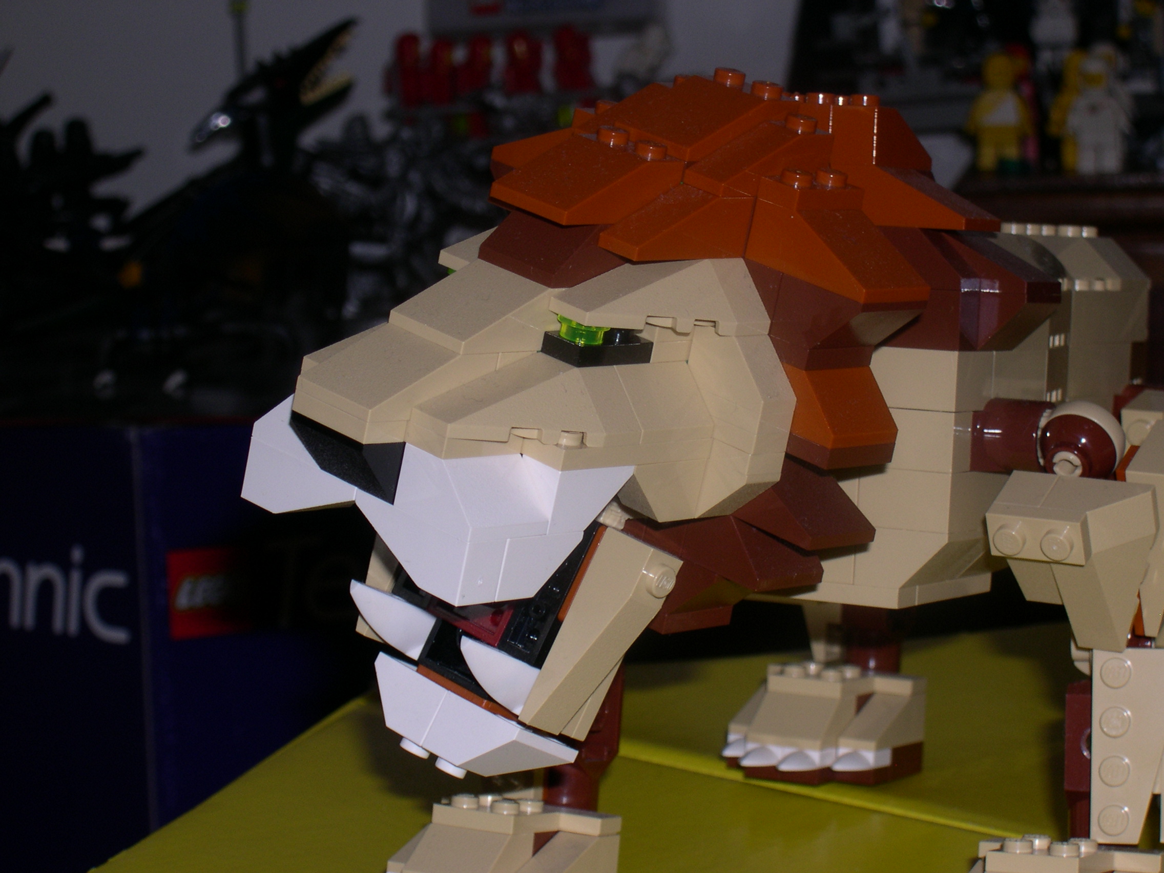 4884-01.jpg