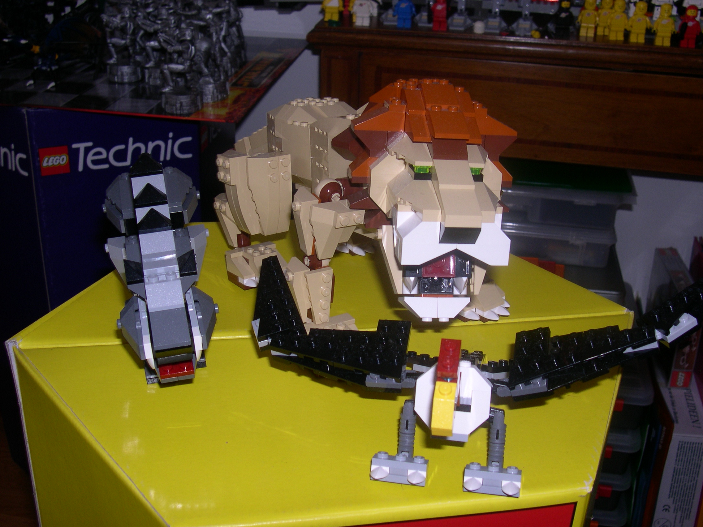 4884-02.jpg