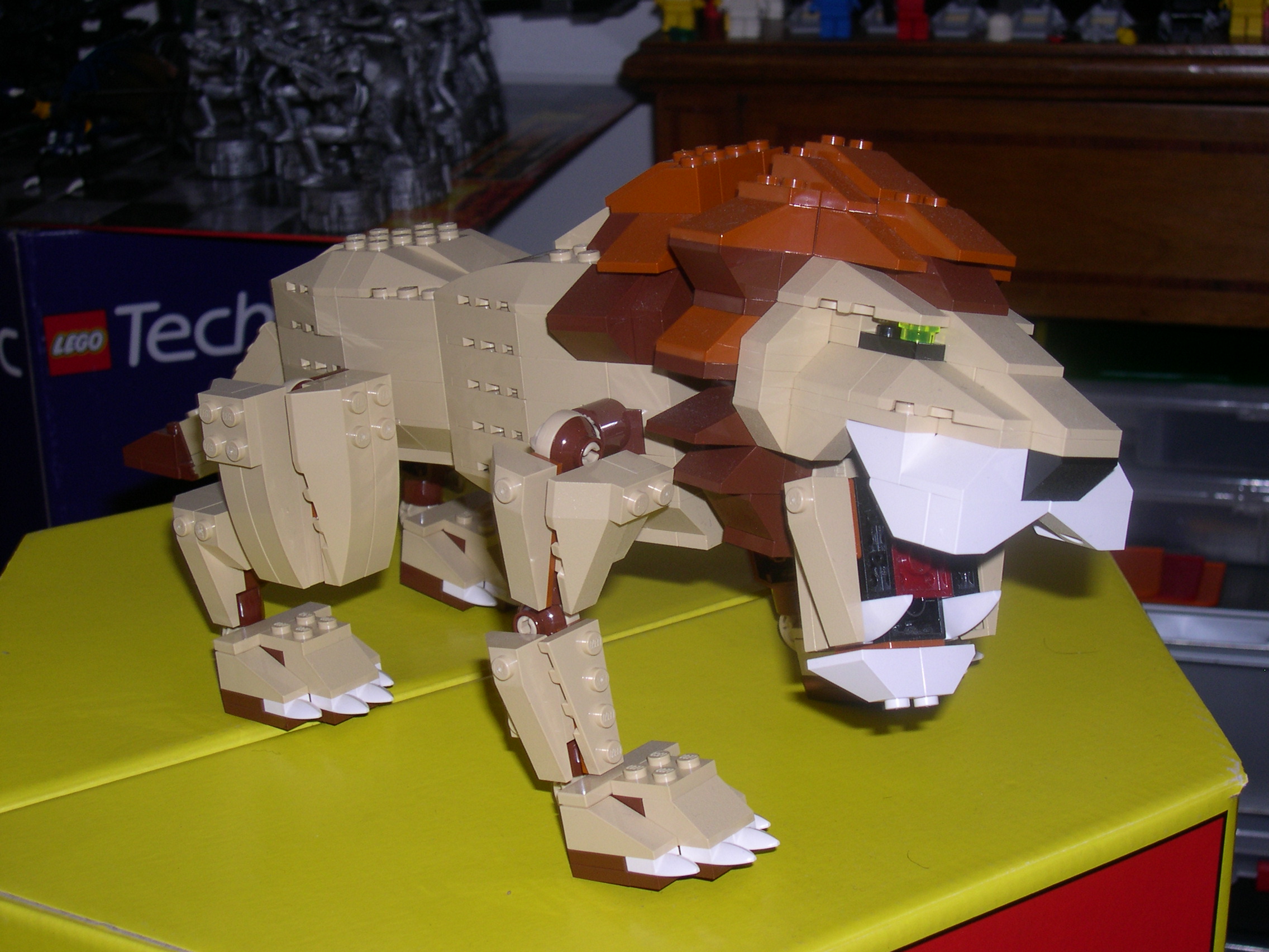 4884-04.jpg
