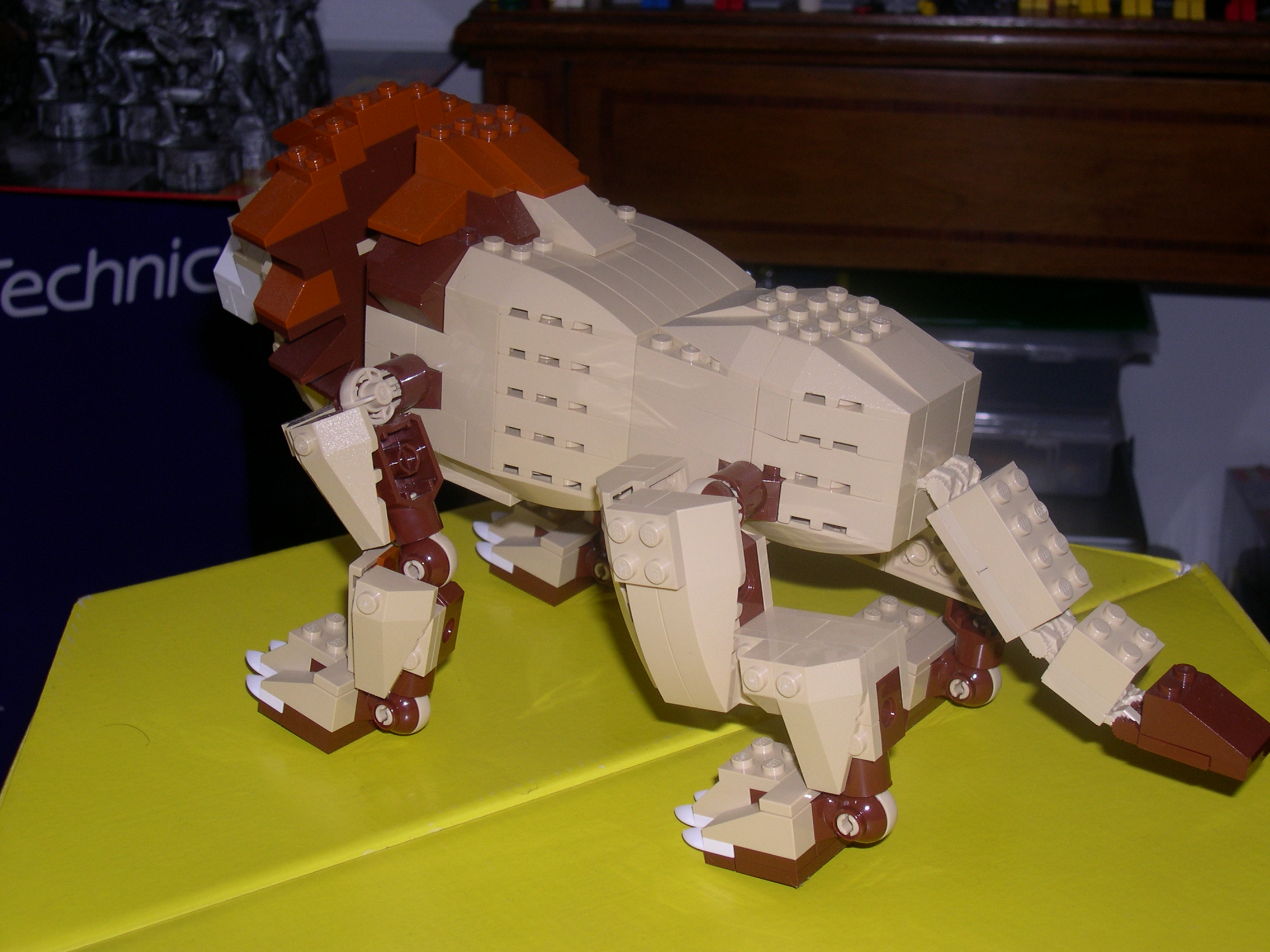 4884-06.jpg
