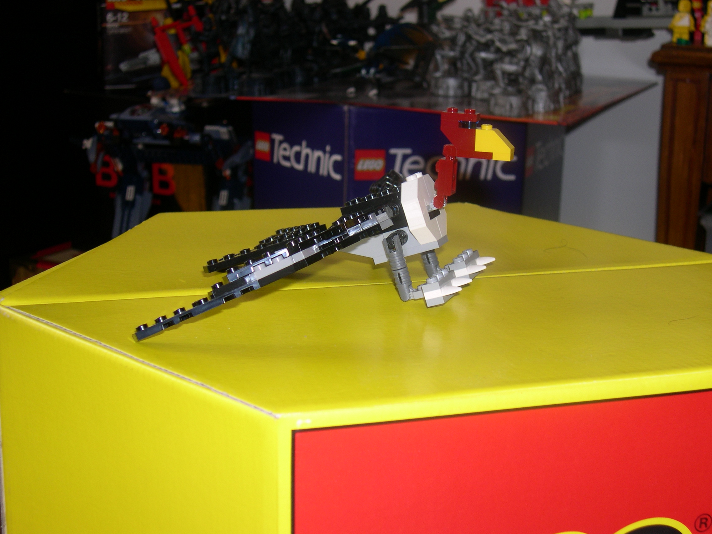 4884-15.jpg