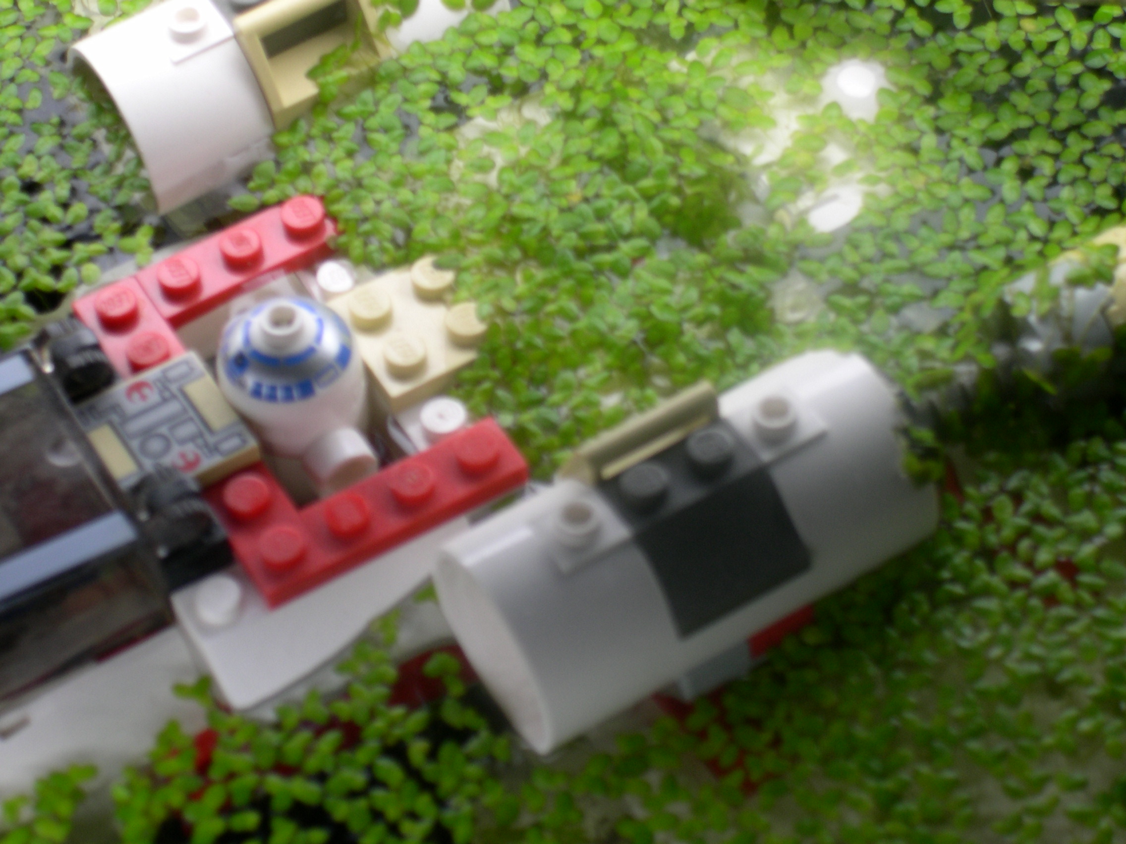 dagobah_02.jpg