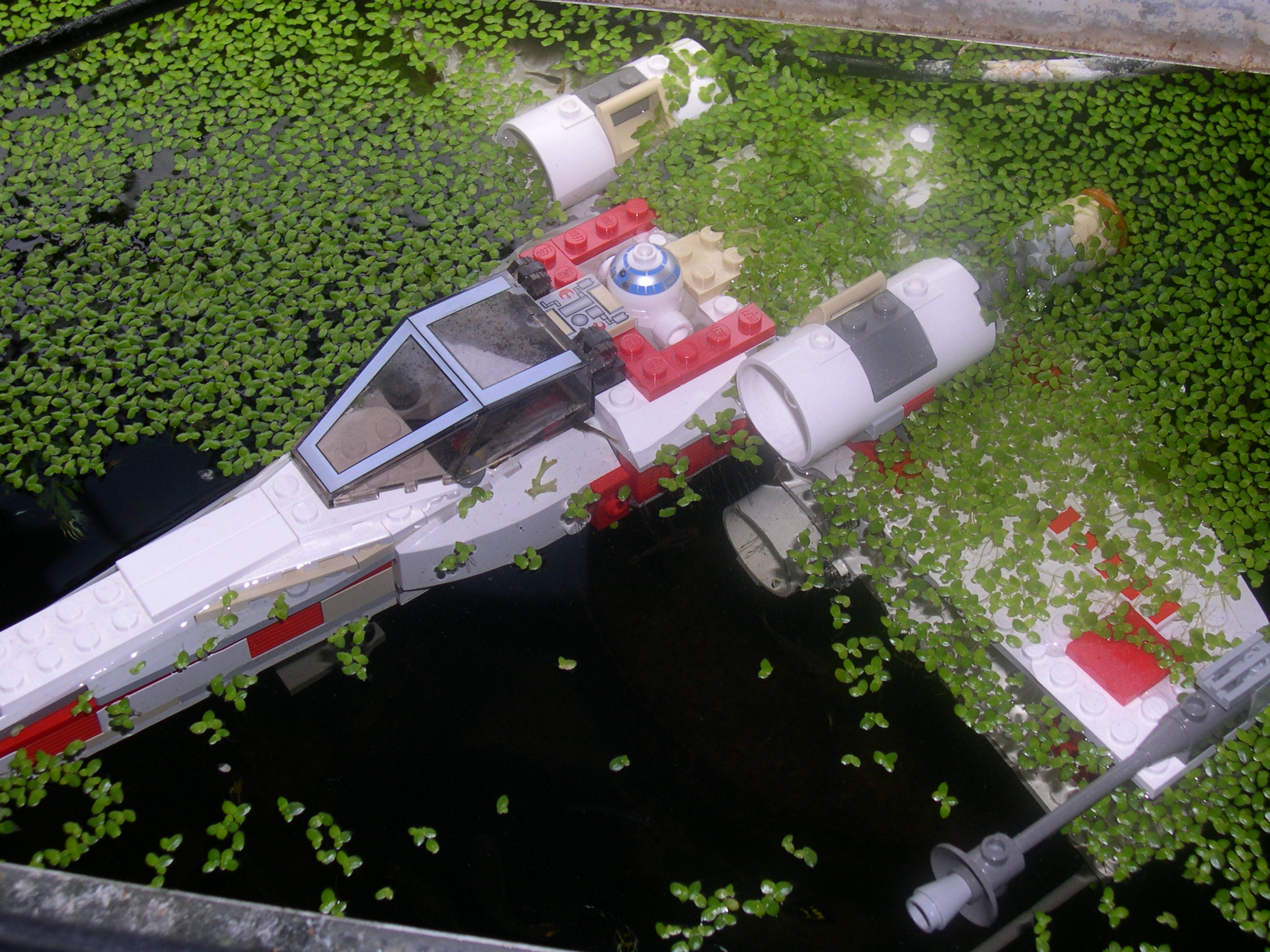 dagobah_07.jpg
