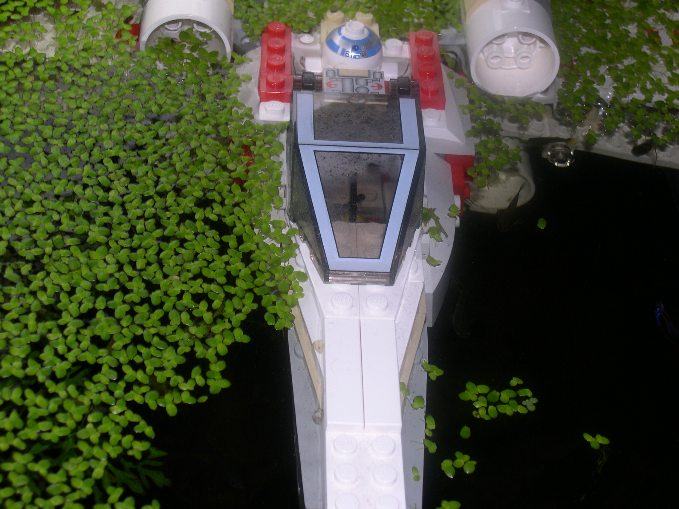 dagobah_08.jpg