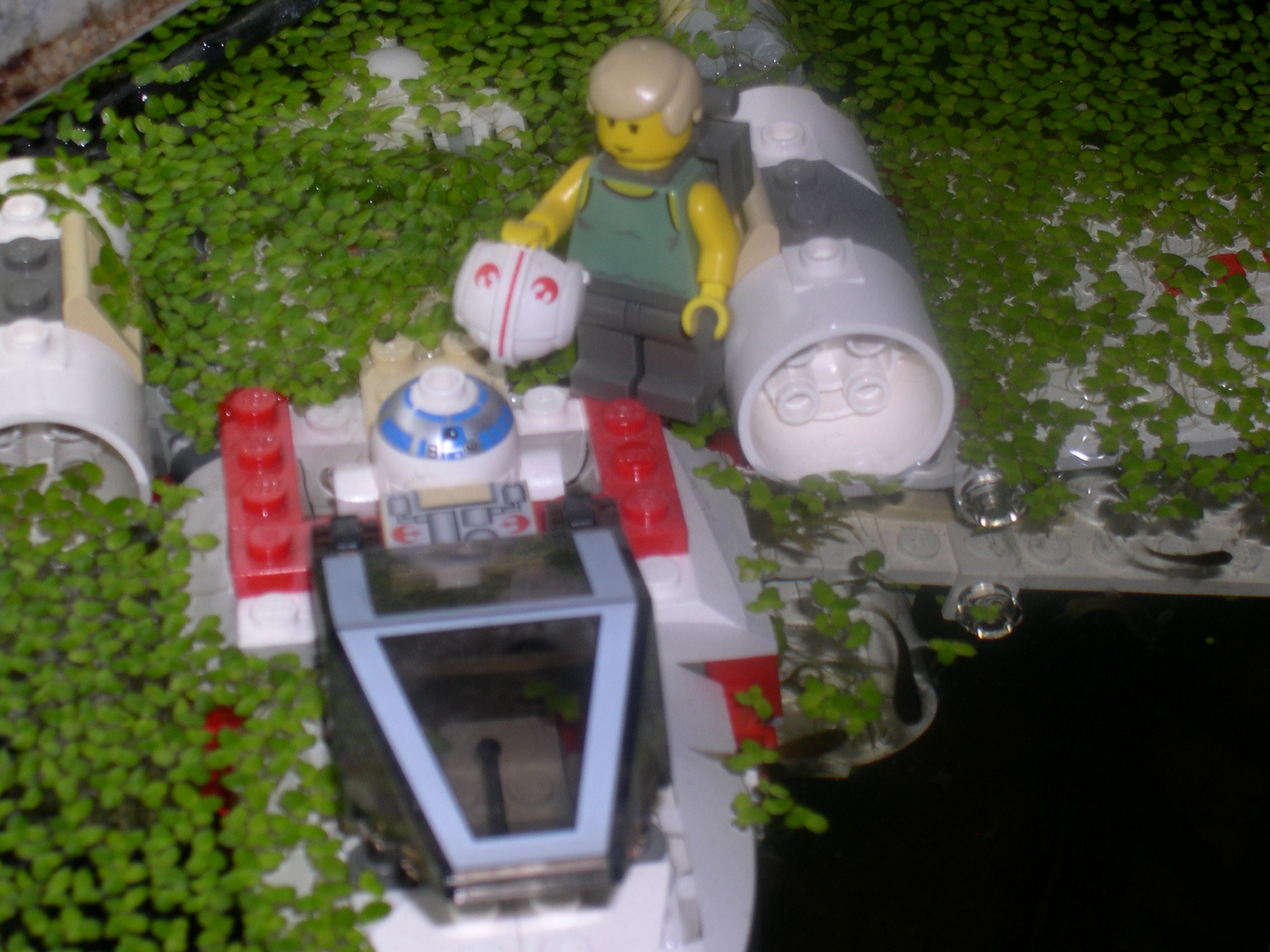 dagobah_11.jpg