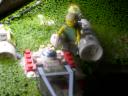 dagobah_12.jpg