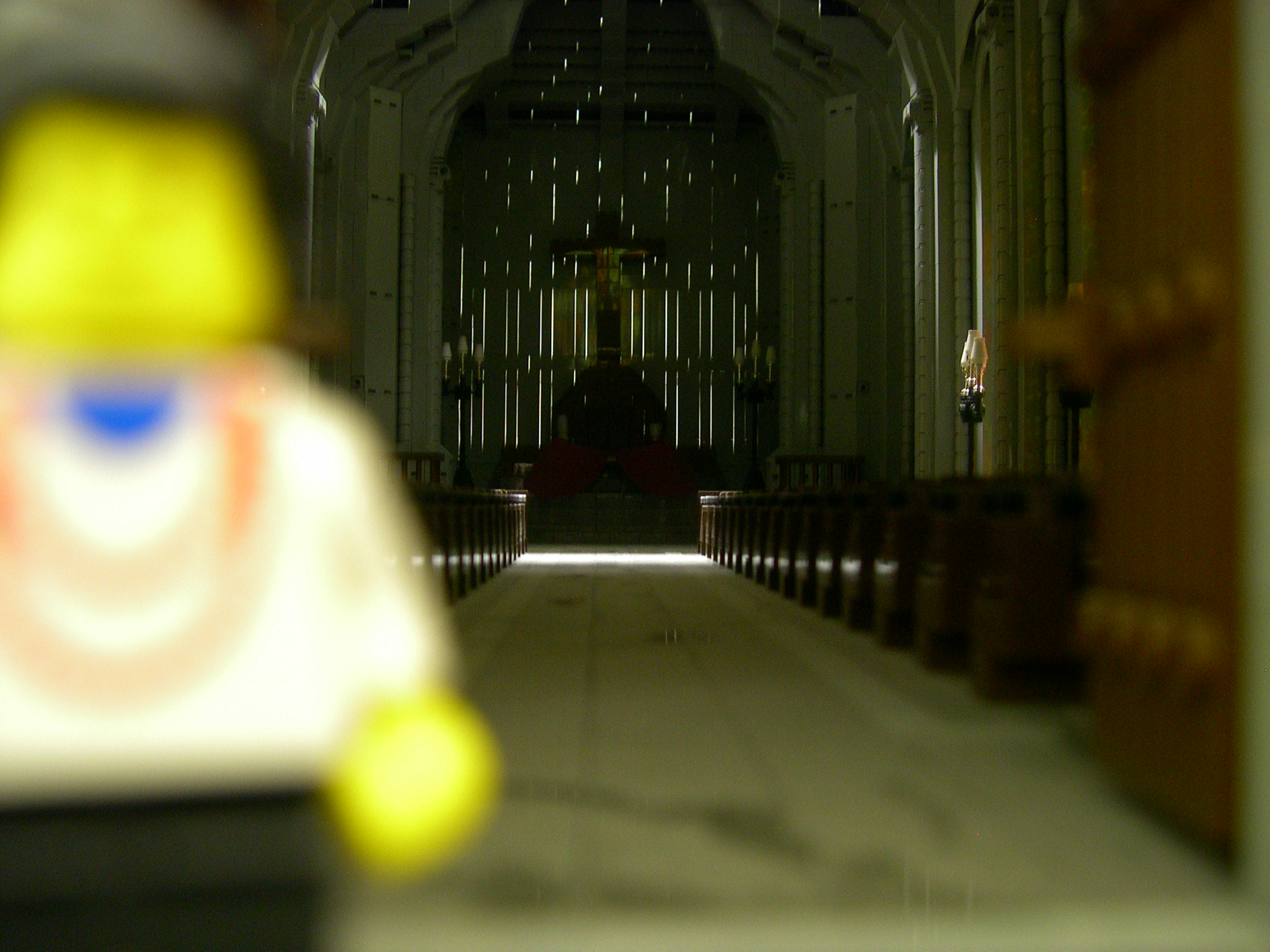 daprilego_18.jpg
