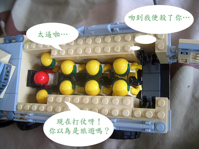 ifv08.jpg