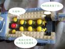 ifv08.jpg