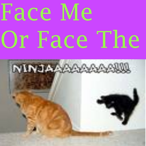 face_the_ninga.jpg