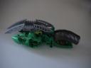 dsc00234.jpg