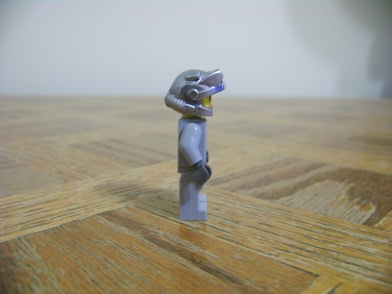 09.jpg