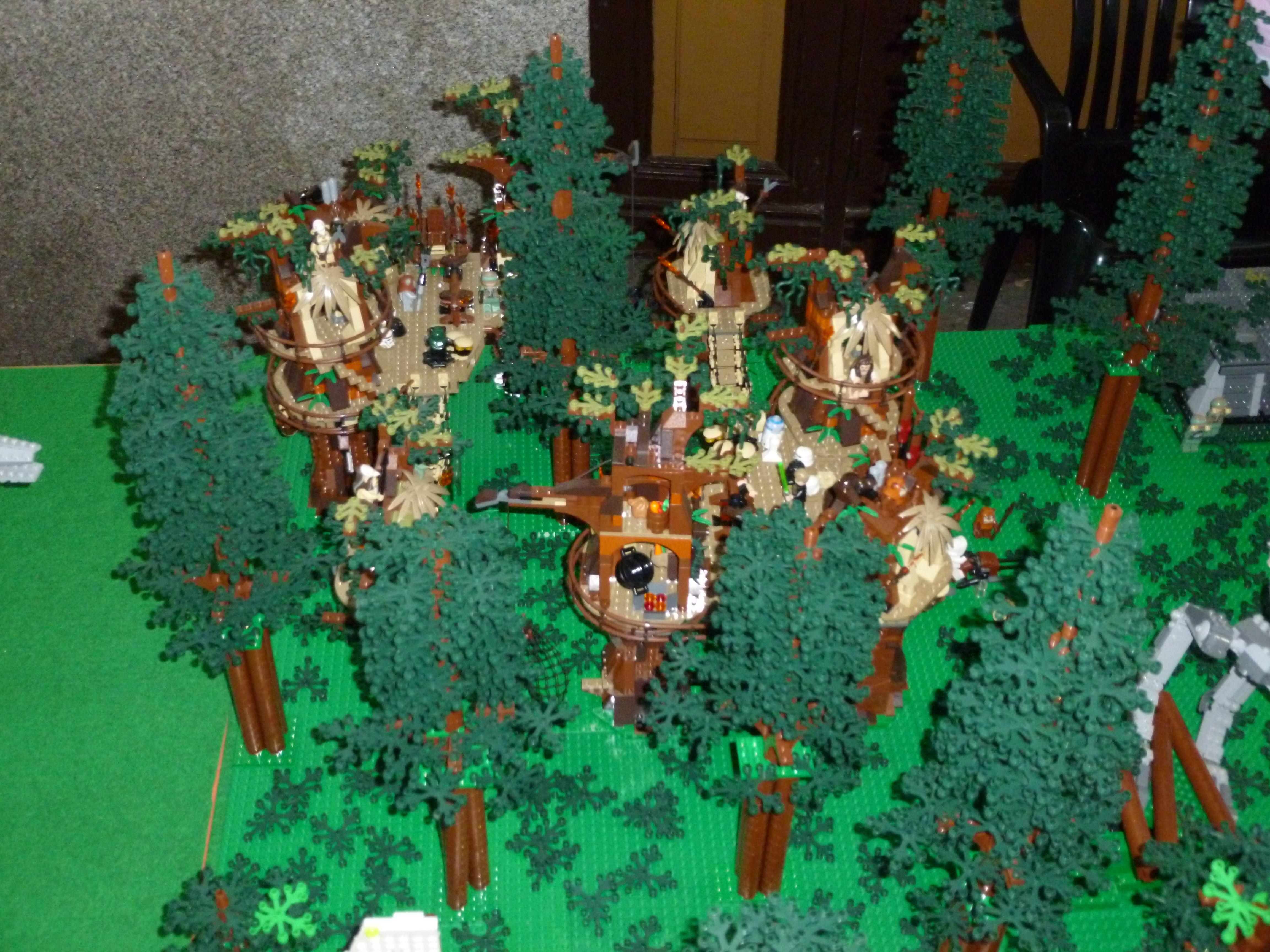 p1010091.jpg