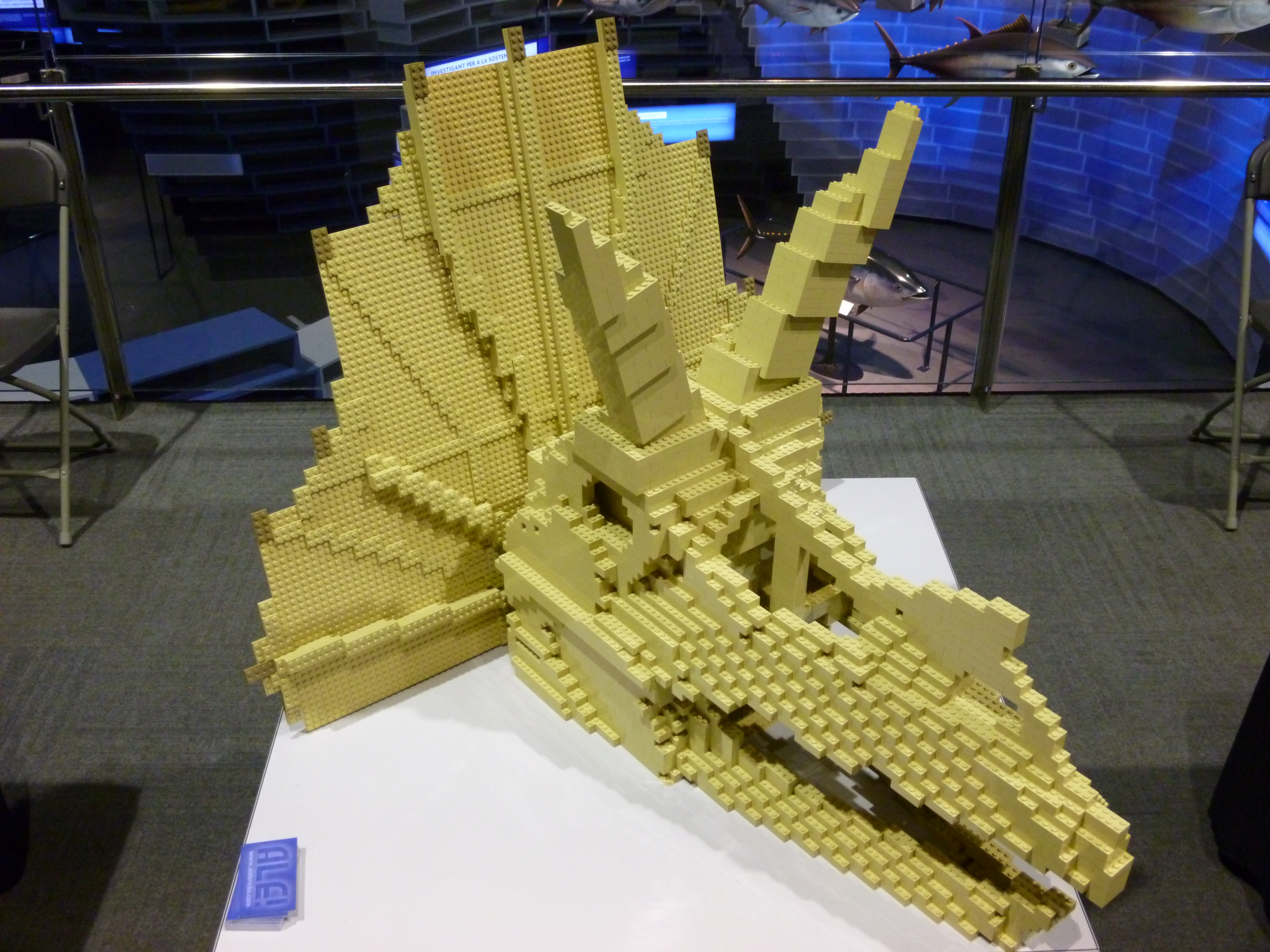 ltriceratops12.jpg