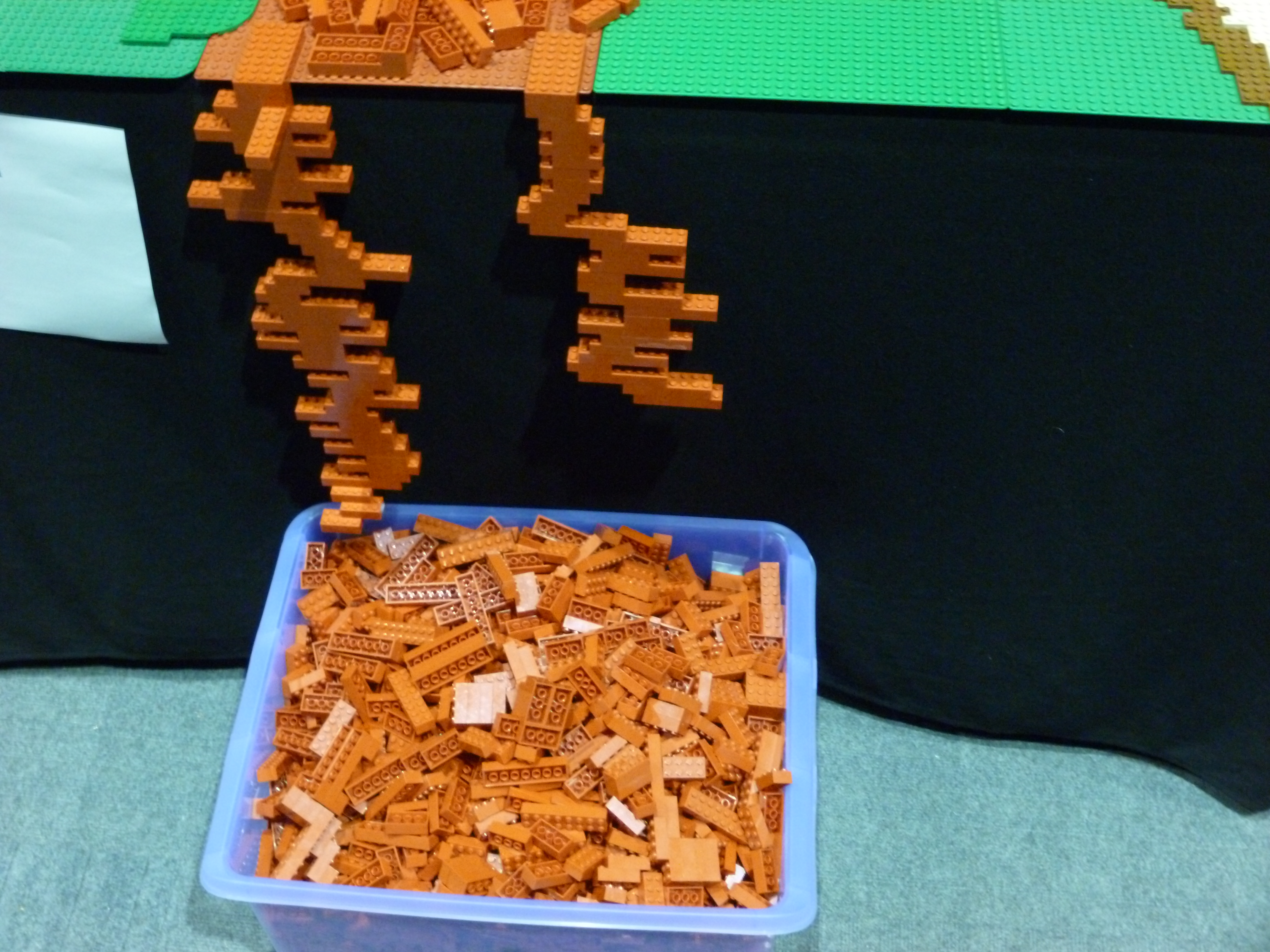 ltriceratops21.jpg