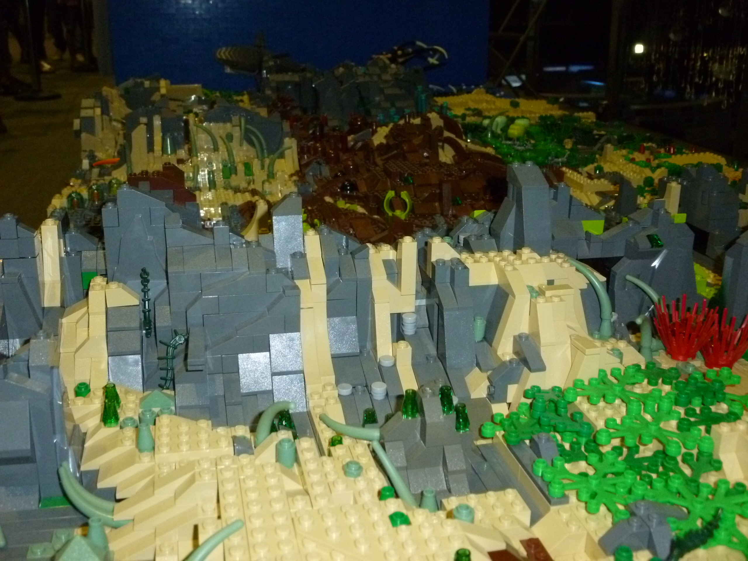 ltriceratops40.jpg