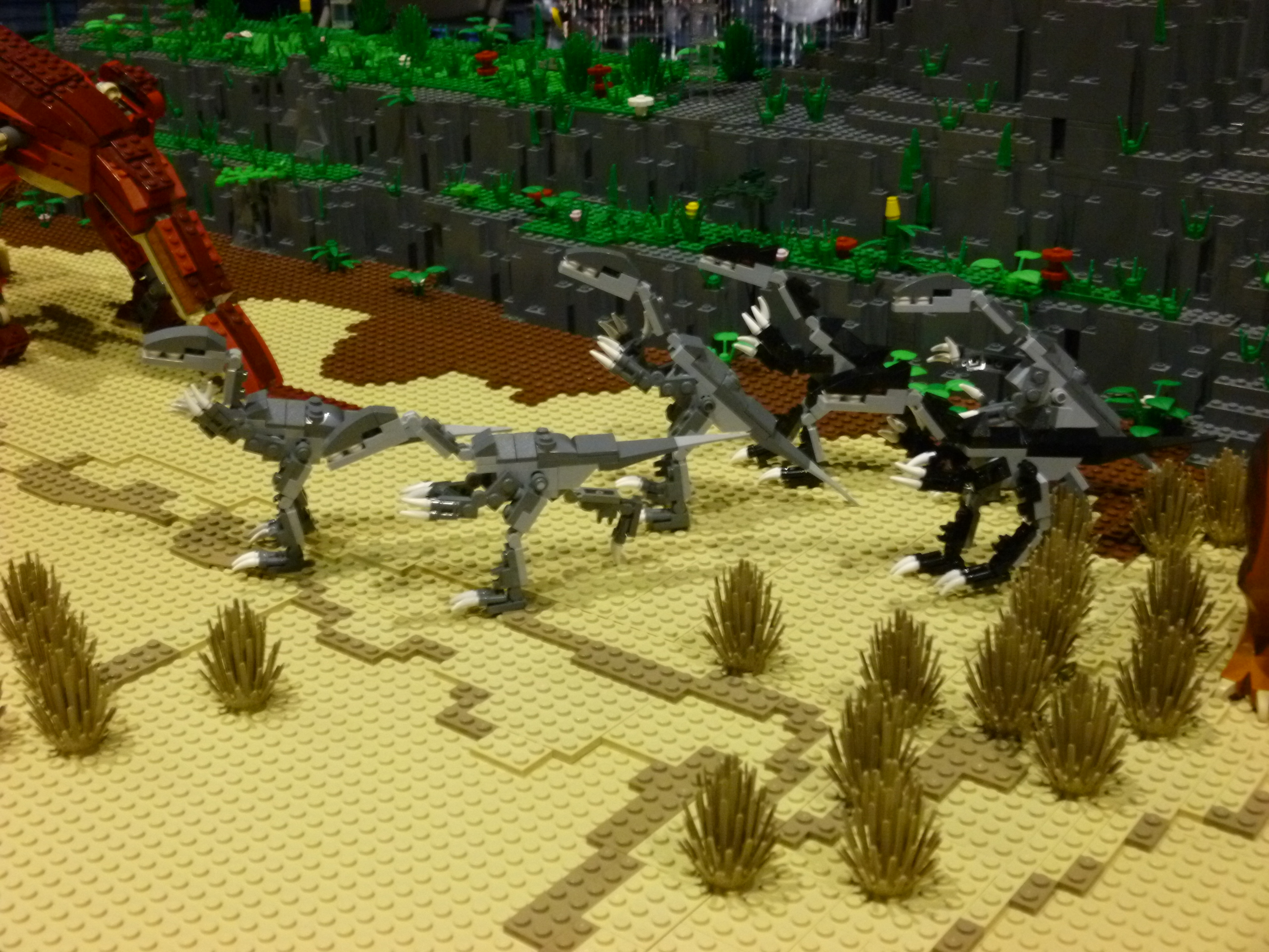 ltriceratops48.jpg