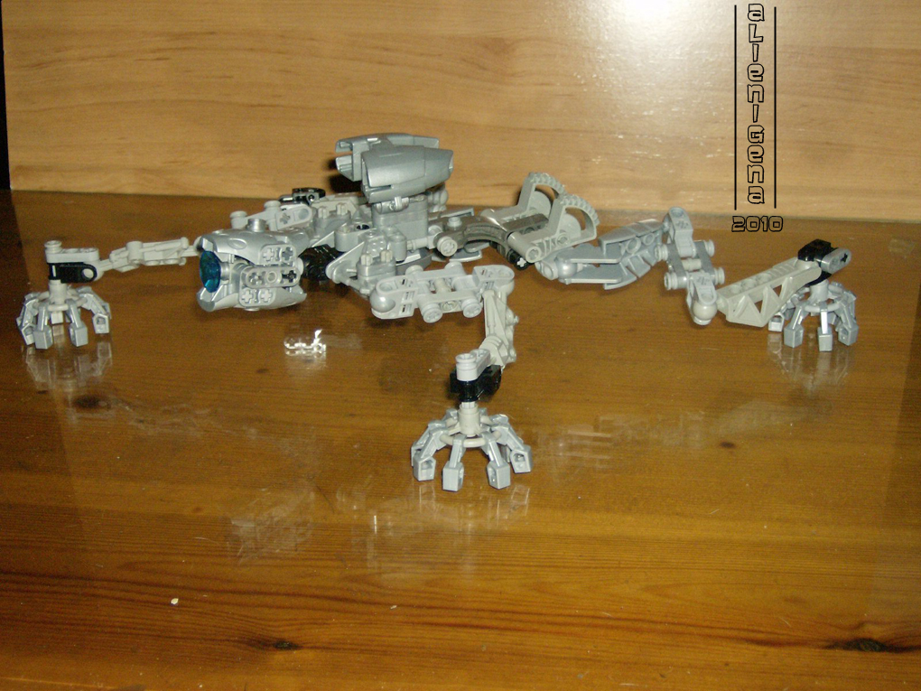 moc_amee_12.jpg