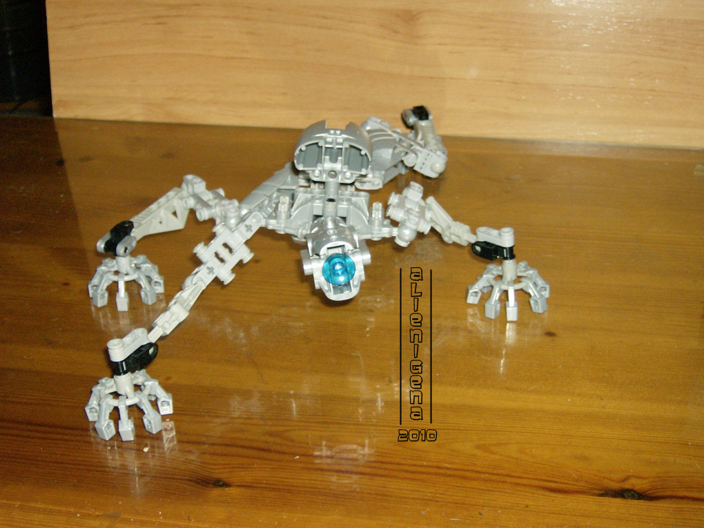 moc_amee_13.jpg