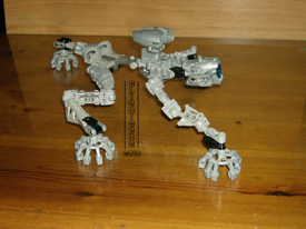 moc_amee_14p.jpg