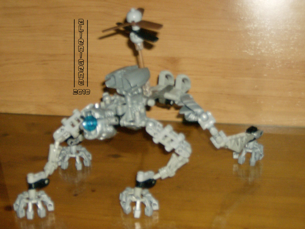 moc_amee_2.jpg
