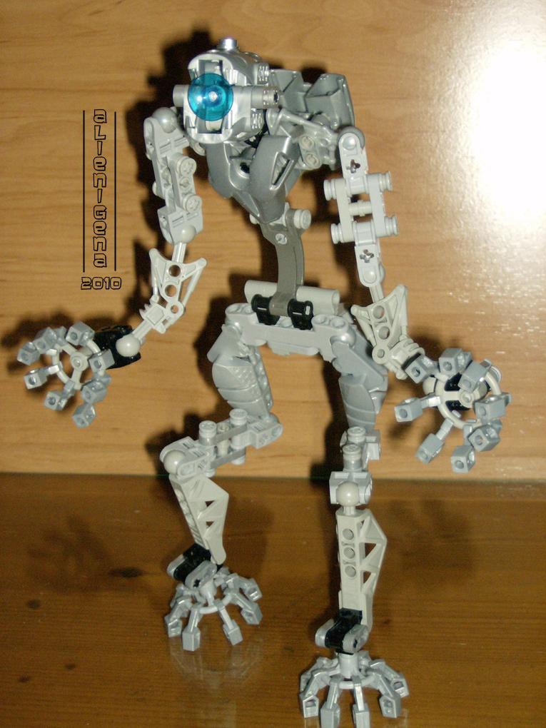 moc_amee_4.jpg