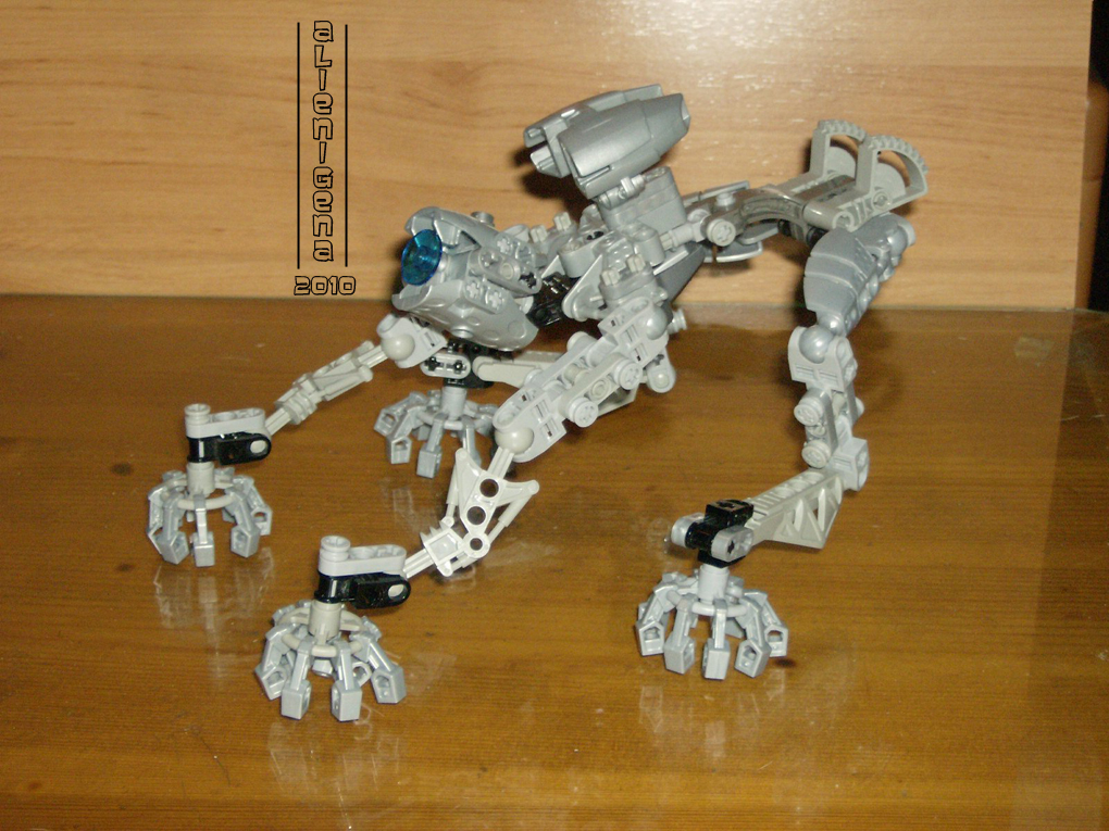moc_amee_5.jpg