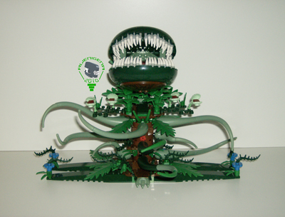 hpim3373p.jpg