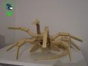 facehugger_16.jpg