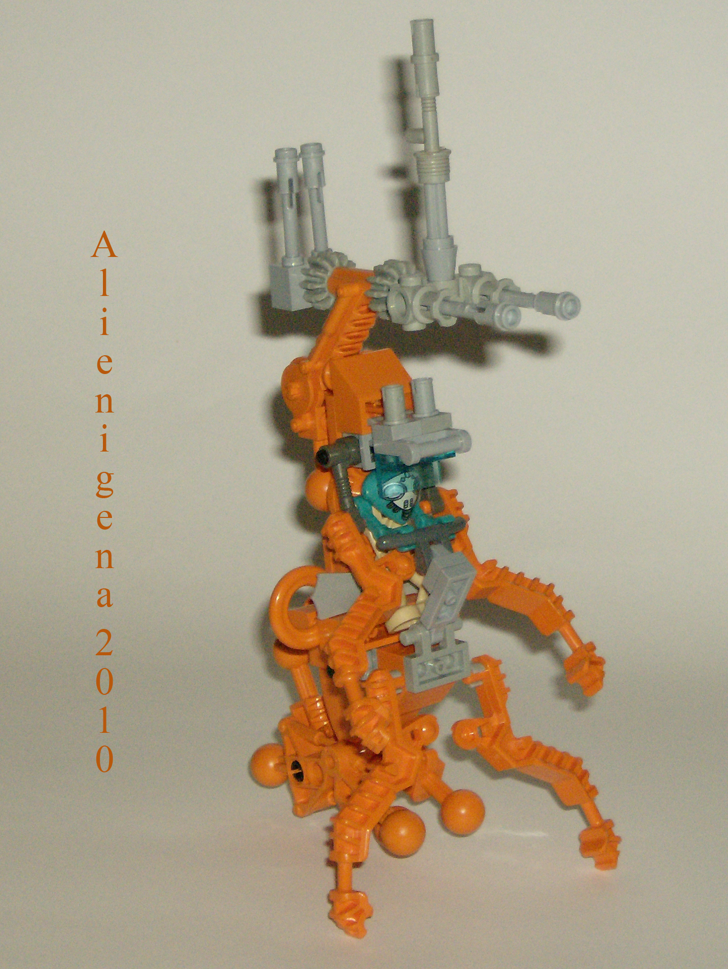 orangewalker1.jpg