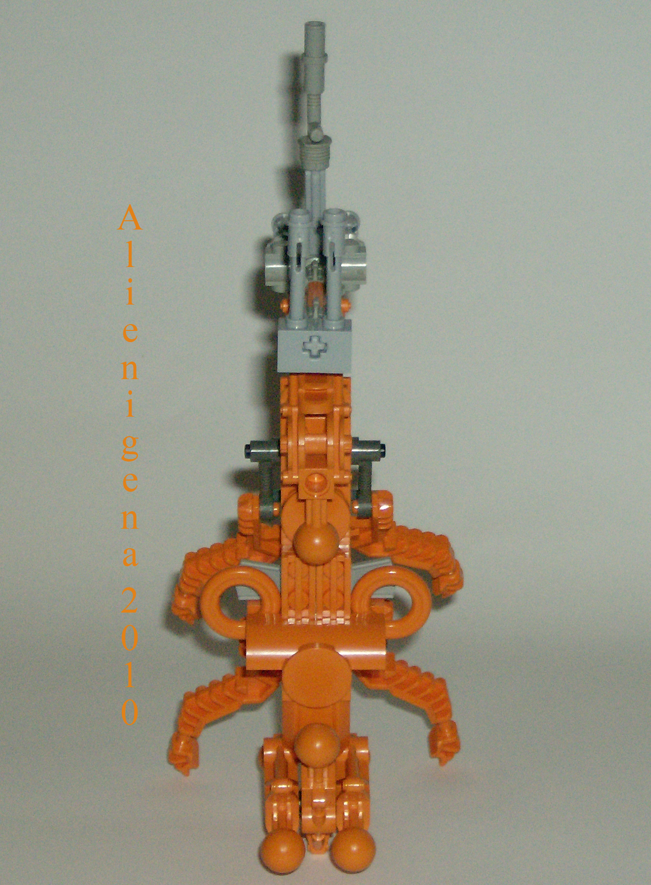 orangewalker3.jpg