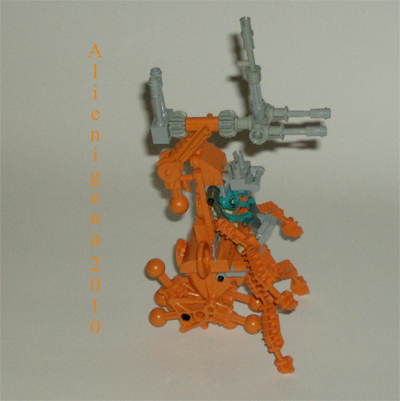 orangewalker4p.jpg