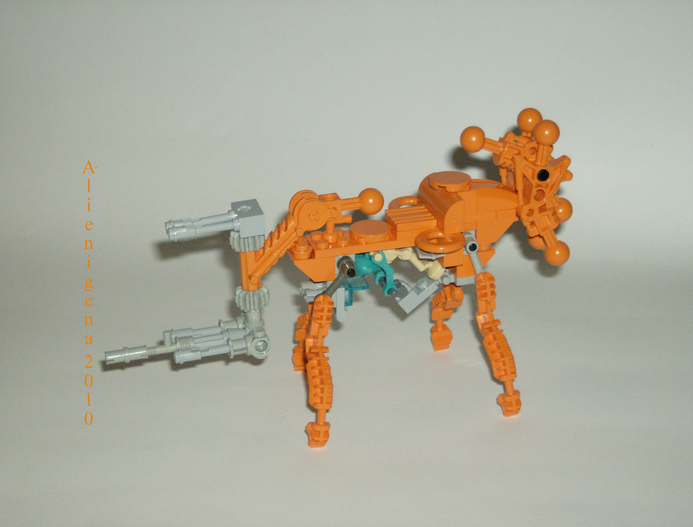orangewalker5.jpg