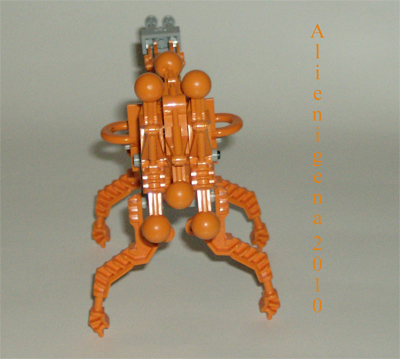 orangewalker6p.jpg