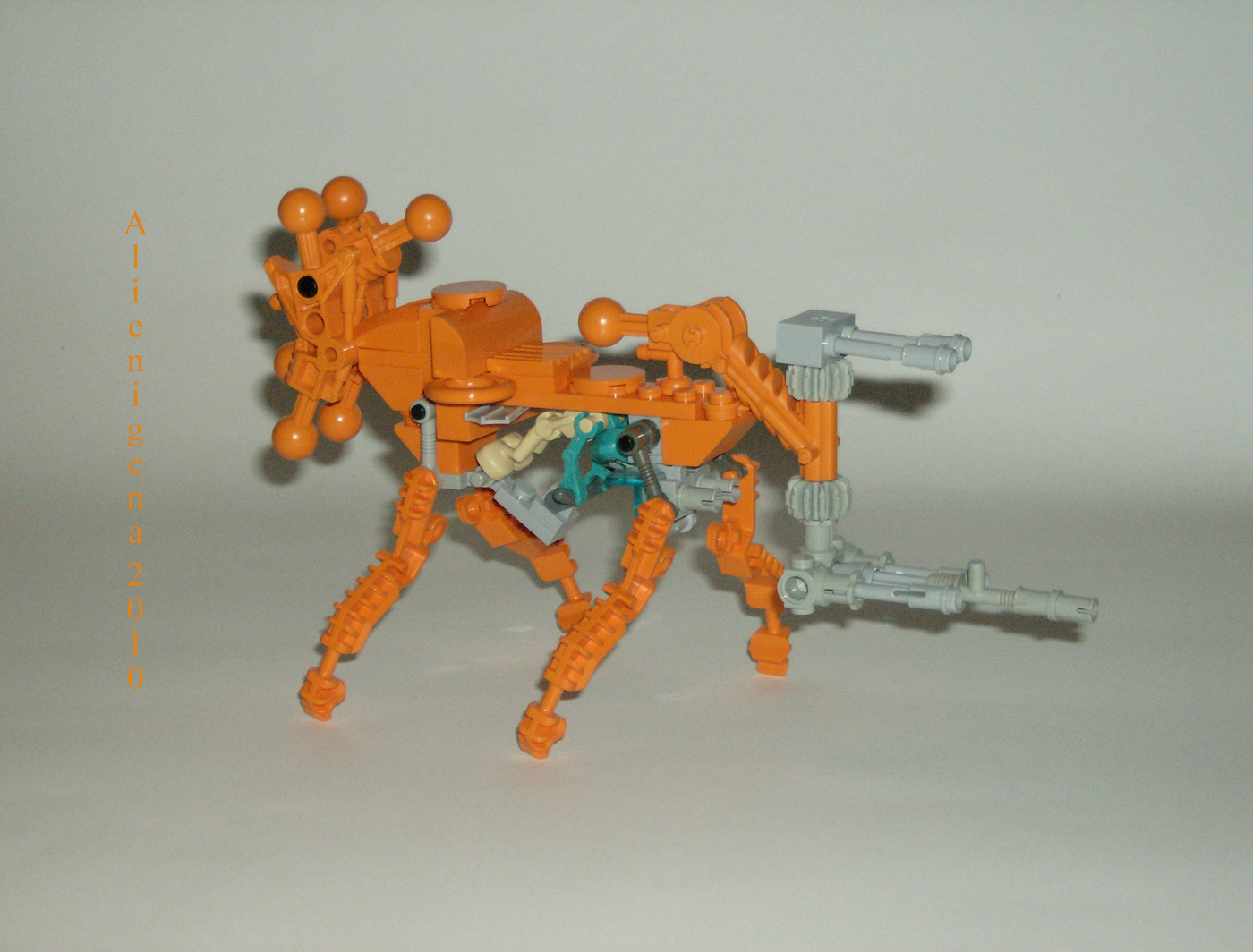 orangewalker8.jpg